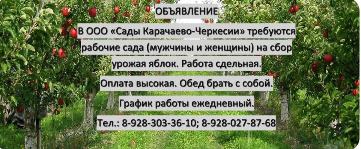 Объявление!.