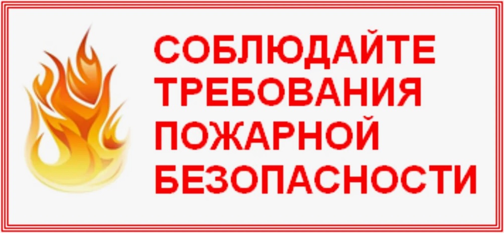 Меры пожарной безопасности для избирательных участков.