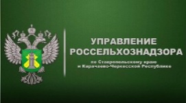 Cеверо-Кавказское межрегиональное управление Россельхознадзора информирует.