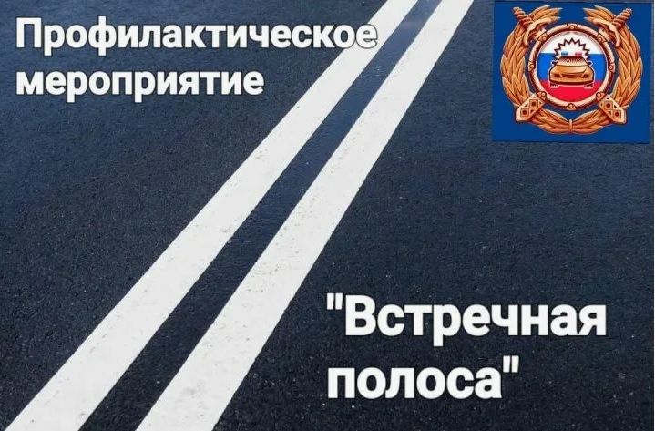 Профилактическое мероприятие &quot;Встречная полоса&quot;.