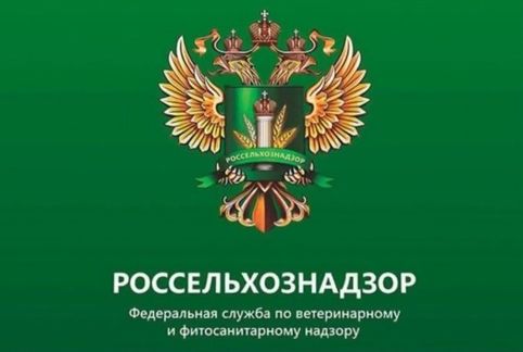 Осторожно, клещи-переносчики вируса африканской чумы свиней!. Осторожно, клещи-переносчики вируса африканской чумы свиней!.