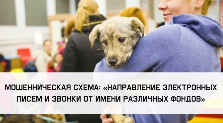 Прокуратура предупреждает! Остерегайтесь мошенников!. Прокуратура предупреждает! Остерегайтесь мошенников!.