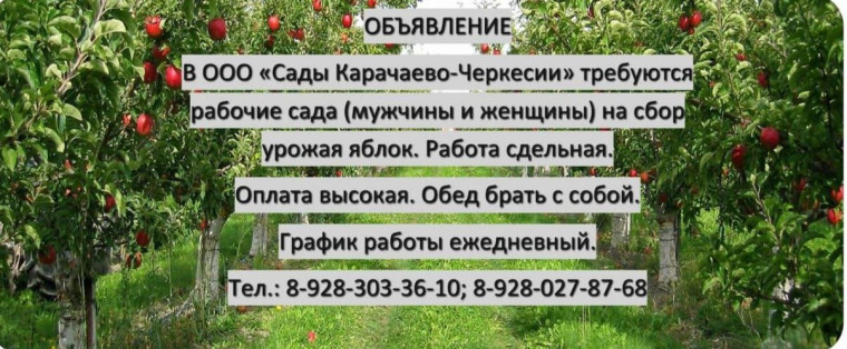 Объявление!. Объявление!.