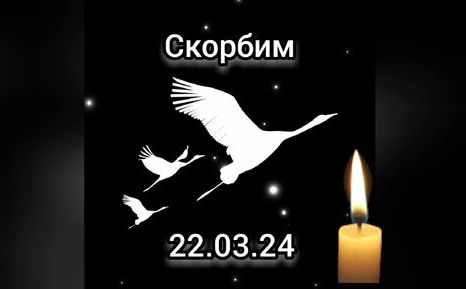 В память о погибших в теракте в «Крокус сити холле» по всей стране стартовала акция «Летят журавли». В память о погибших в теракте в «Крокус сити холле» по всей стране стартовала акция «Летят журавли».