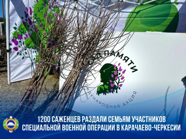 В КЧР в рамках Международной акции «Сад памяти» семьям участникам СВО раздали 1200 саженцев. В КЧР в рамках Международной акции «Сад памяти» семьям участникам СВО раздали 1200 саженцев.